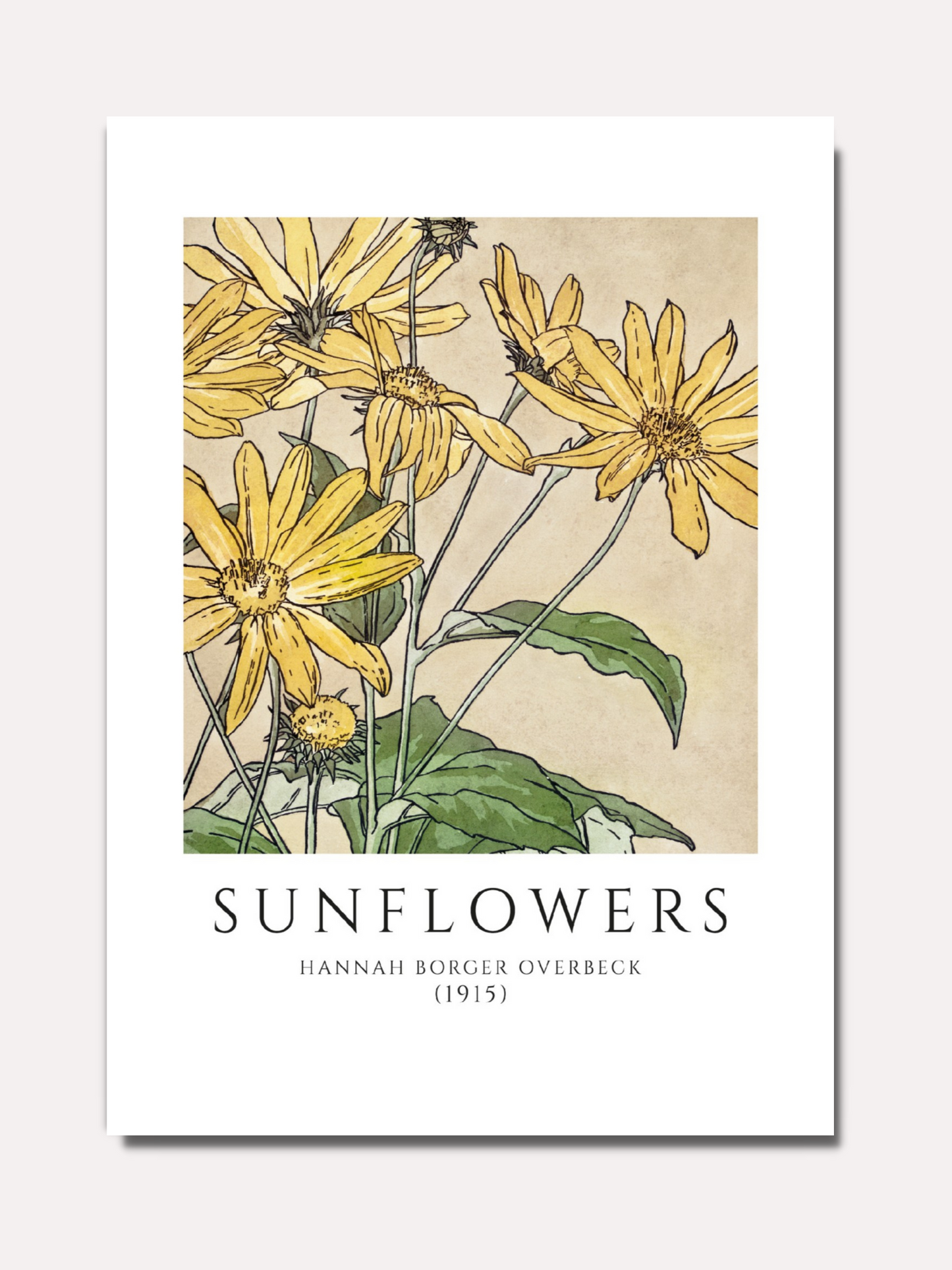 Hannah Borger Overbeck - Sunflowers