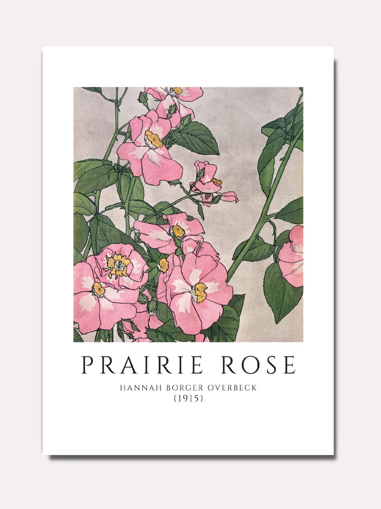 Hannah Borger Overbeck - Prairie rose