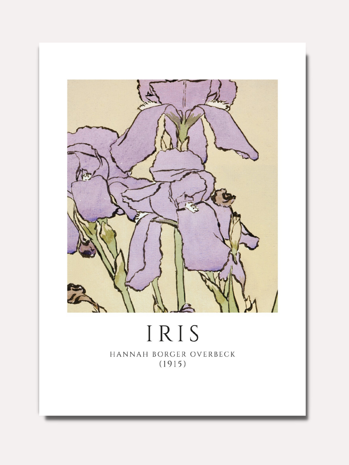 Hannah Borger Overbeck - Iris