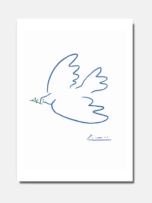 Picasso - Bird of peace - BELHUES